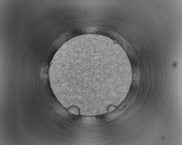X0000116810525201001081358