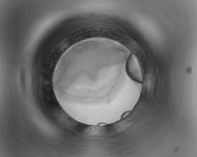X0000116810526201001081358