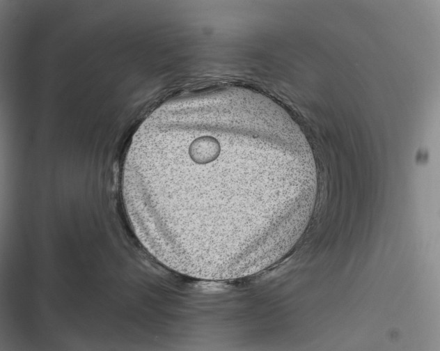 X0000116810528201001081358