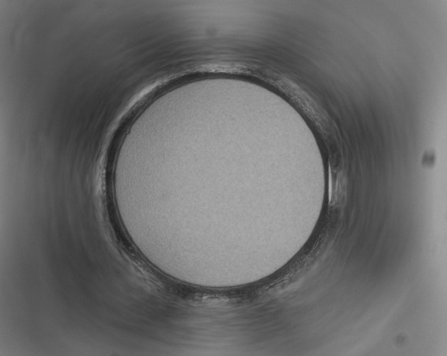 X0000116810531201001081357