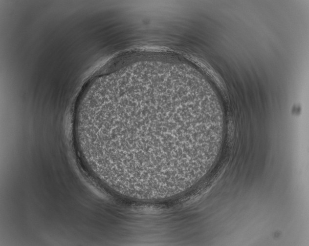 X0000116810533201001081357