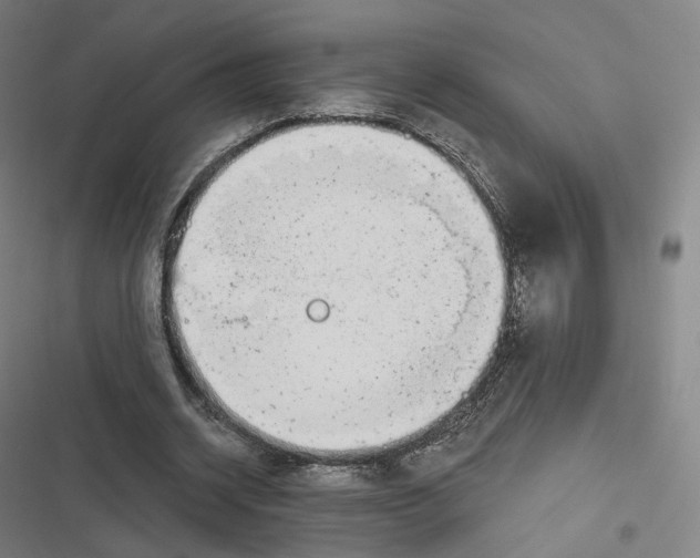 X0000116810534201001081357