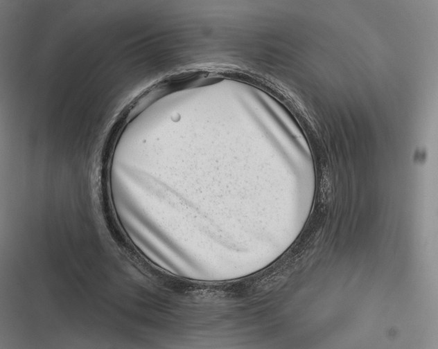 X0000116810535201001081357