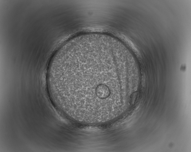 X0000116810537201001081357