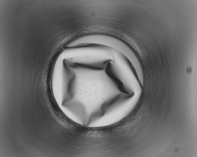 X0000116810538201001081357