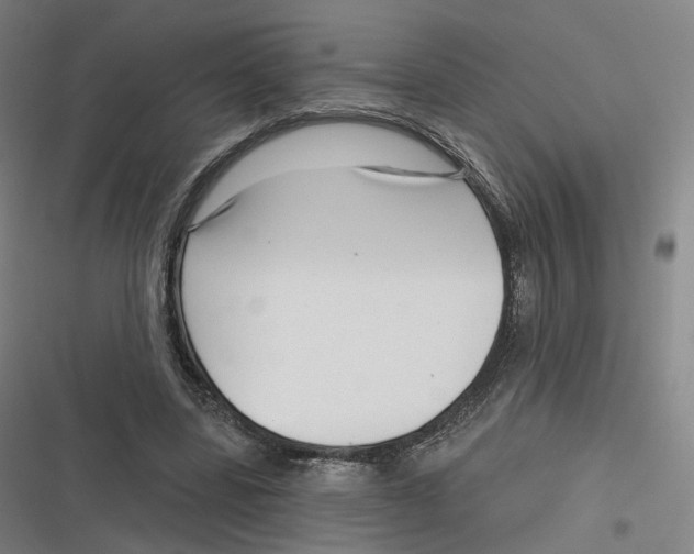 X0000116810539201001081357