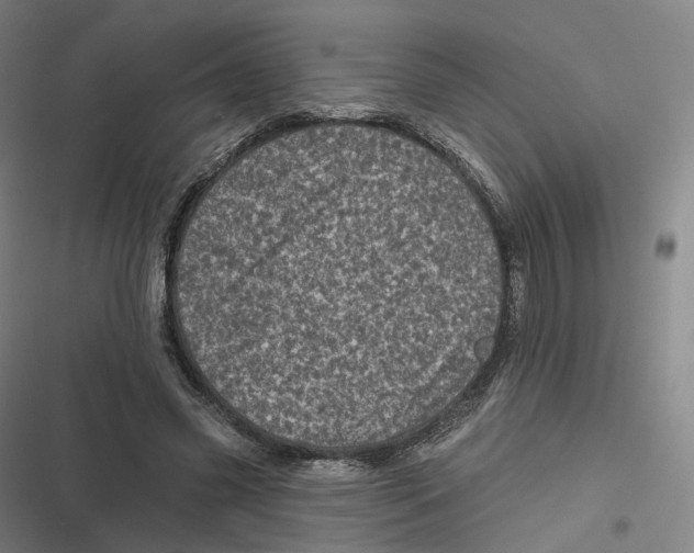 X0000116810541201001081357