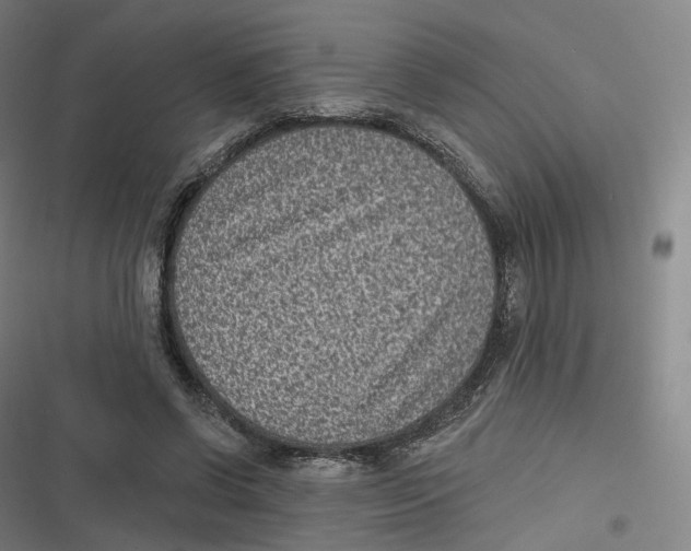 X0000116810542201001081357