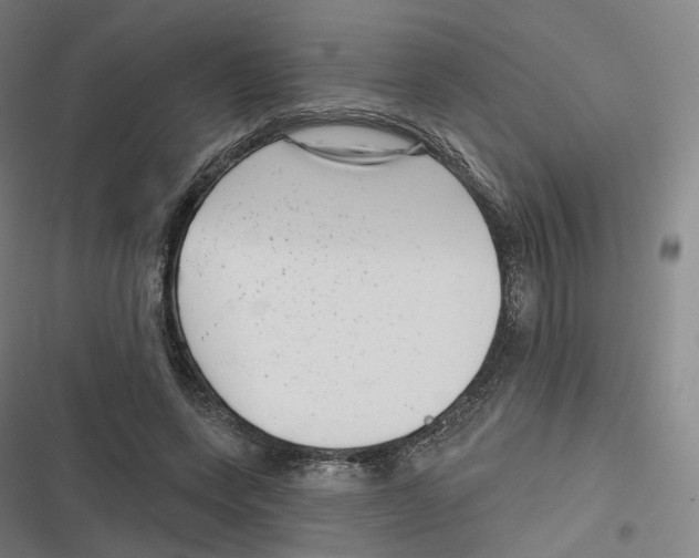 X0000116810543201001081357