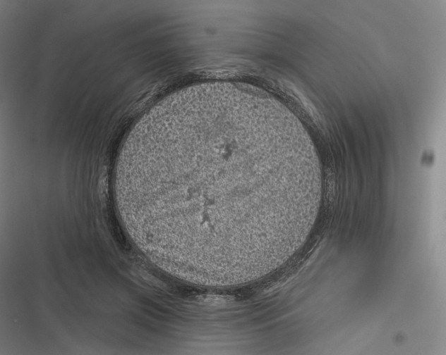 X0000116810549201001081357