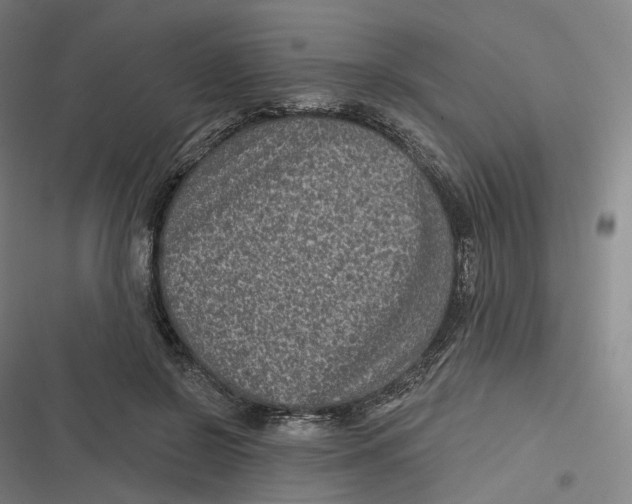 X0000116810550201001081357