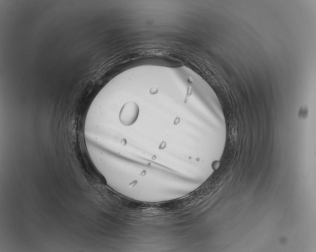 X0000116810551201001081357