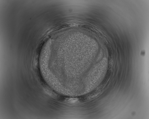 X0000116810554201001081357