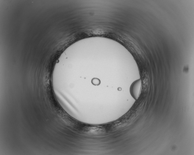 X0000116810555201001081357