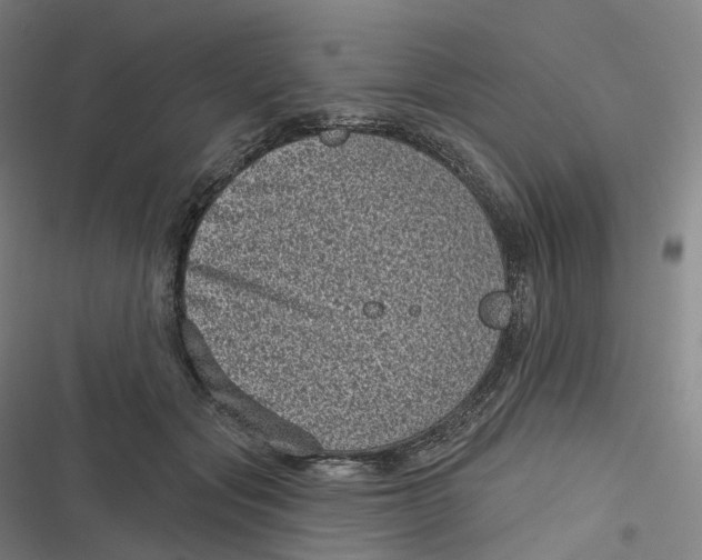 X0000116810557201001081357