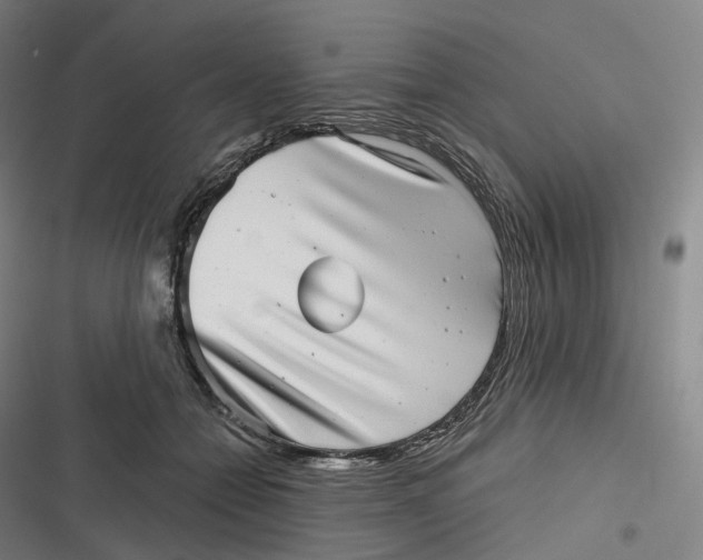 X0000116810558201001081357