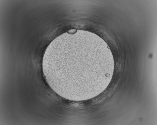 X0000116810561201001081358