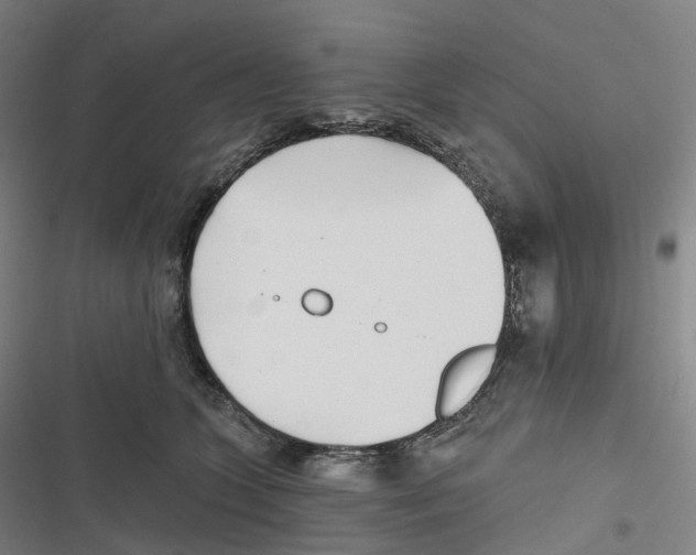 X0000116810563201001081358