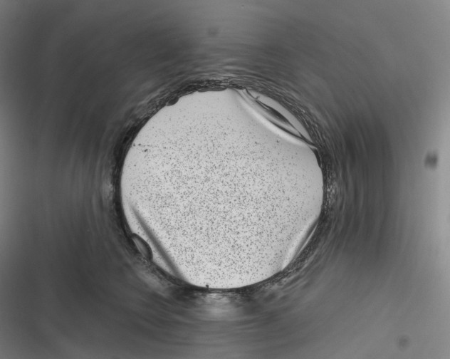 X0000116810566201001081358