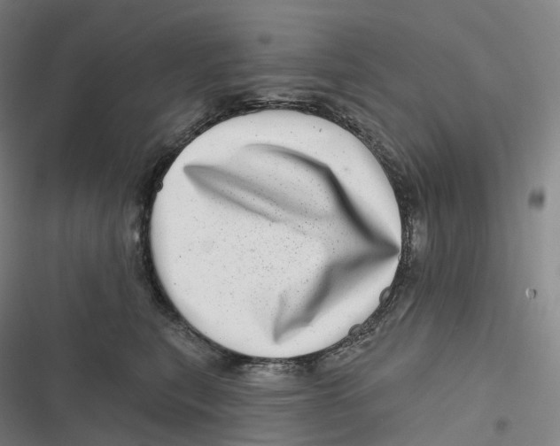 X0000116810567201001081358