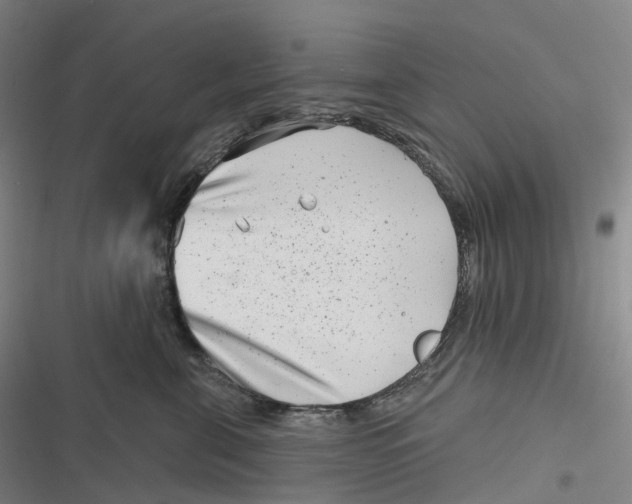 X0000116810571201001081358