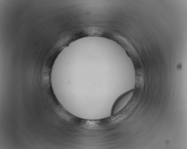 X0000116810573201001081358
