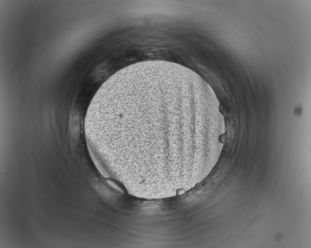 X0000116810574201001081358