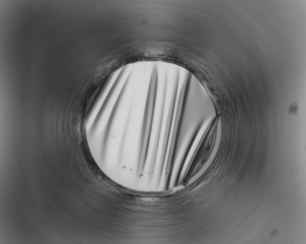 X0000116810575201001081358