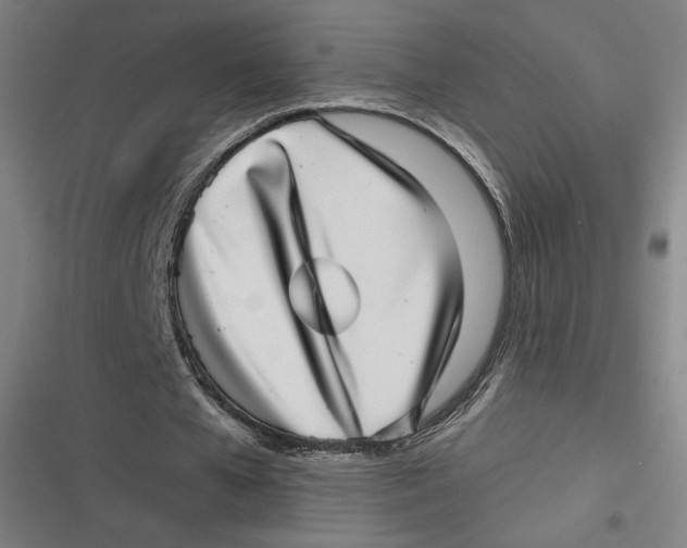 X0000116810577201001081357