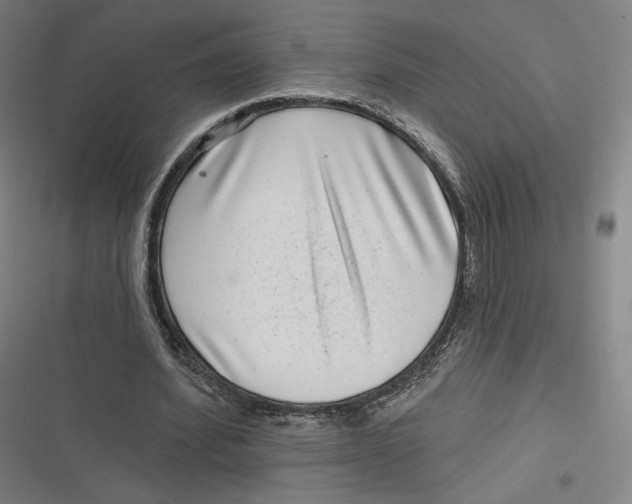 X0000116810580201001081357