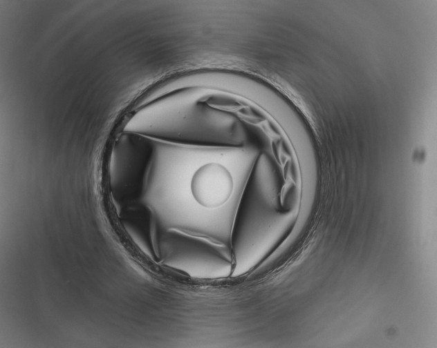 X0000116810581201001081357