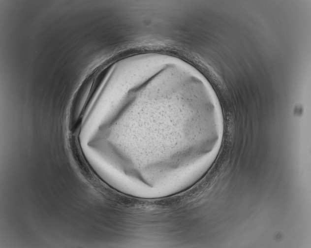 X0000116810582201001081357