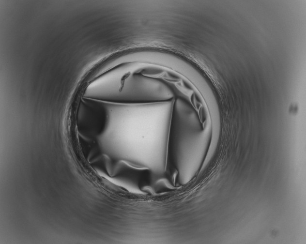 X0000116810583201001081357