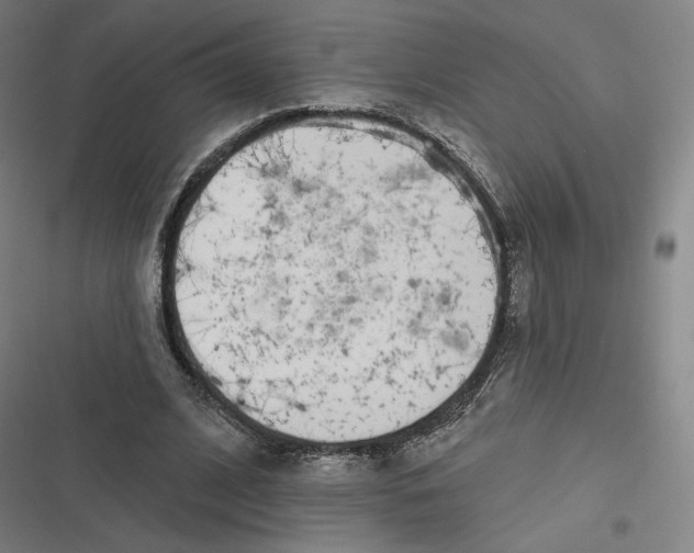 X0000116810584201001081357