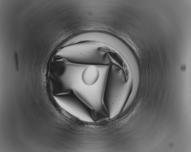 X0000116810585201001081357