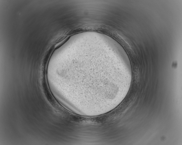 X0000116810586201001081357