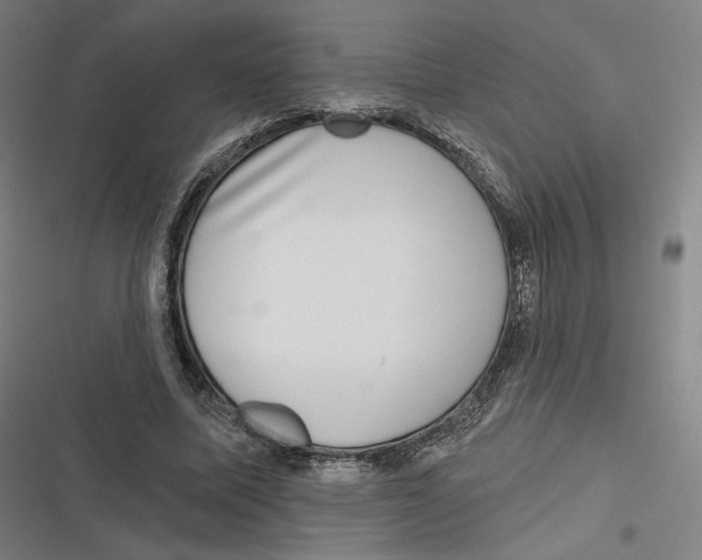 X0000116810587201001081357