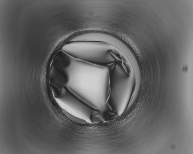 X0000116810588201001081357