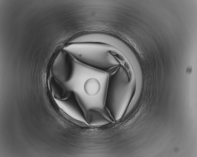 X0000116810589201001081357