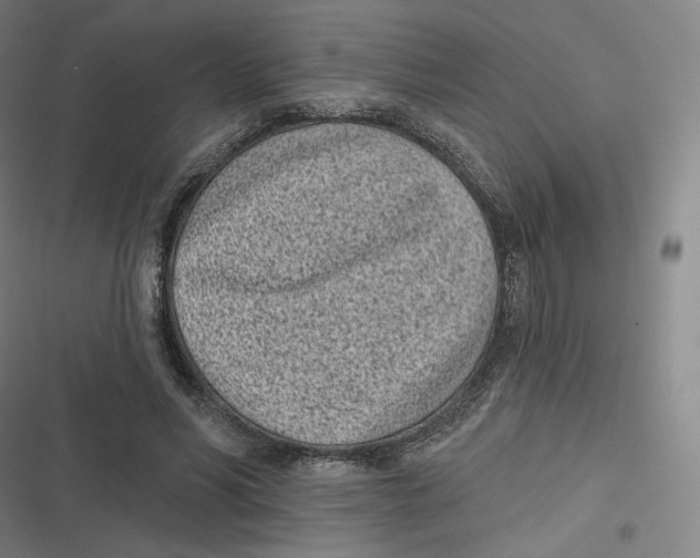 X0000116810590201001081357