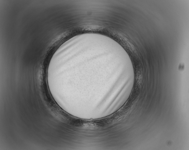 X0000116810591201001081357