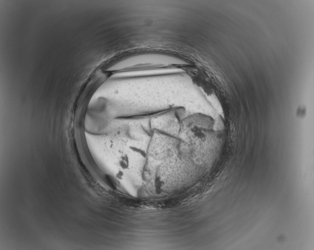 X0000116810592201001081357