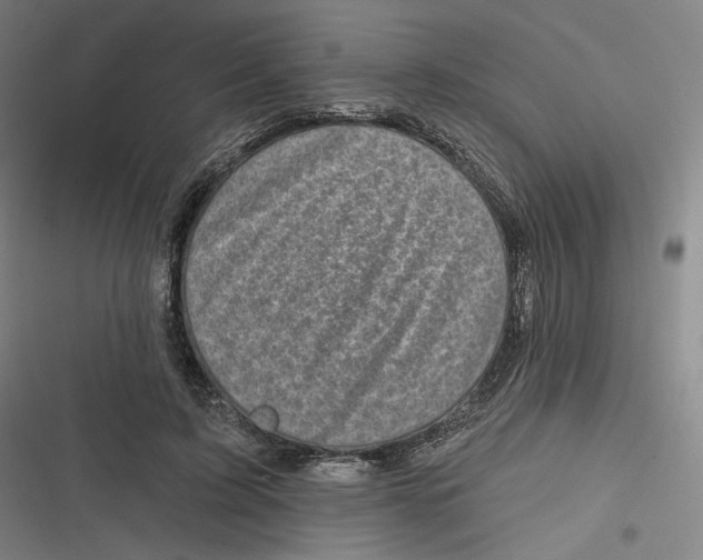 X0000116810595201001081357