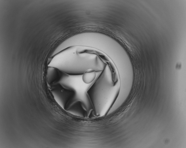 X0000116810597201001081357