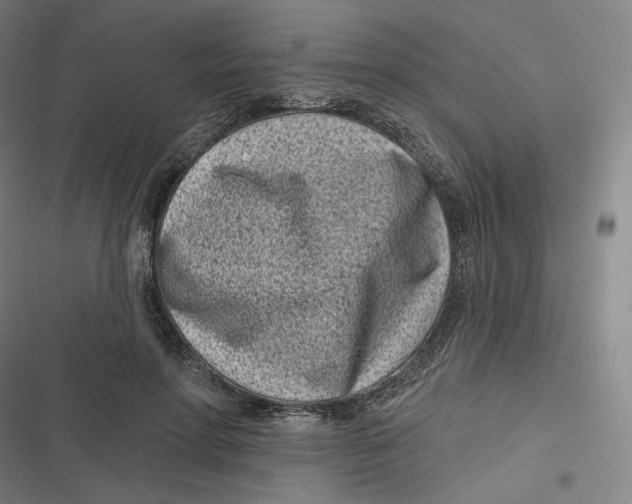 X0000116810598201001081357