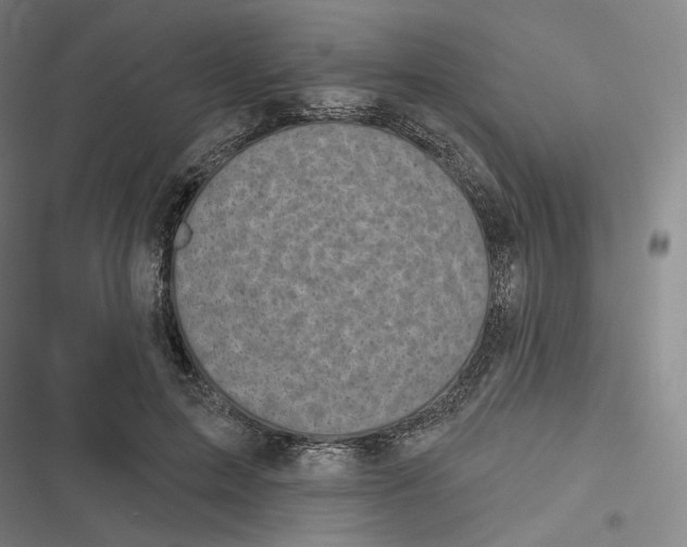 X0000116810599201001081357