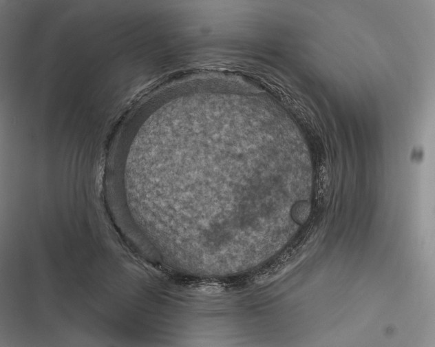 X0000116810600201001081357