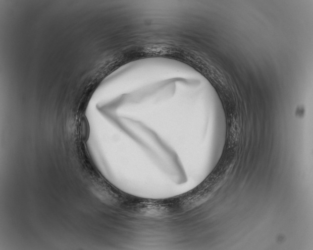 X0000116810601201001081357