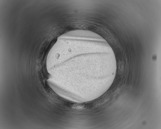 X0000116810602201001081357