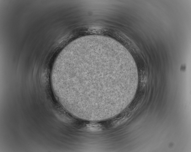 X0000116810603201001081357